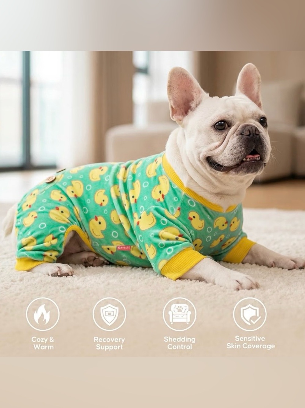 Amazon 4-Way Stretch, Lightweight & Breathable dog onsie